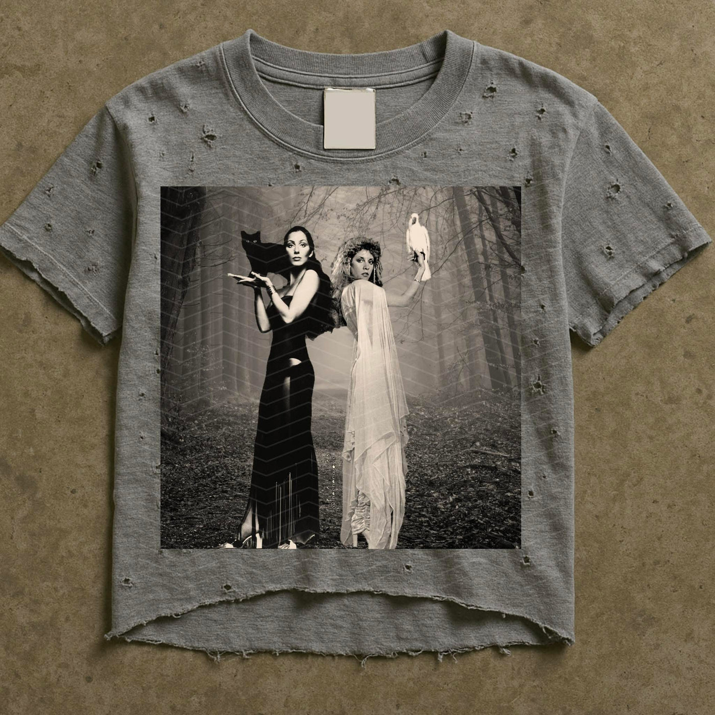 The Cher & Stevie Destroyed Tee