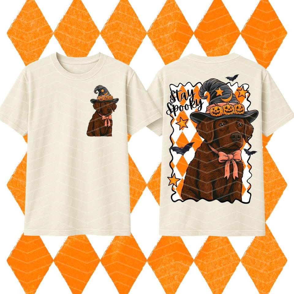 Chocolate Lab Spooky Tee/Sweatshirt