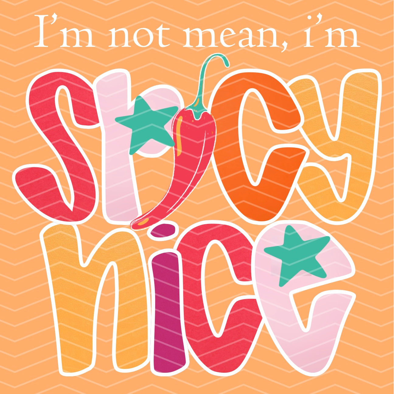 Spicy Nice Tee/Sweatshirt