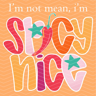 Spicy Nice Tee/Sweatshirt