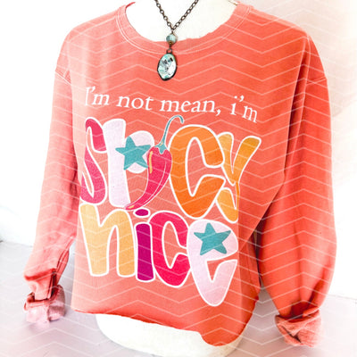Spicy Nice Tee/Sweatshirt
